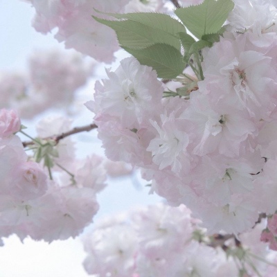 Furry绘画动态灵感兽圈群